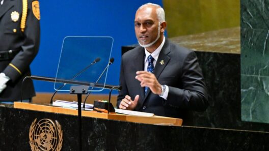Maldives Reaffirms Support for Palestine as President Muizzu Welcomes UN Declaration