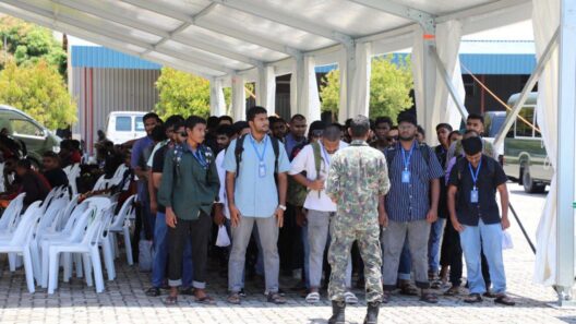 343 Youth Begin Training Under National Service Program