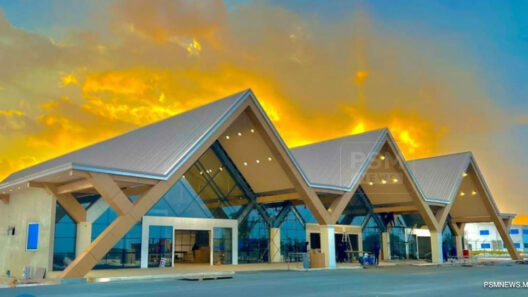 Big Sygrlmlh5neurga7jgobcc7z0