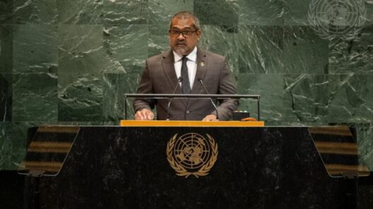 Maldives Calls Out Selective Justice at UN