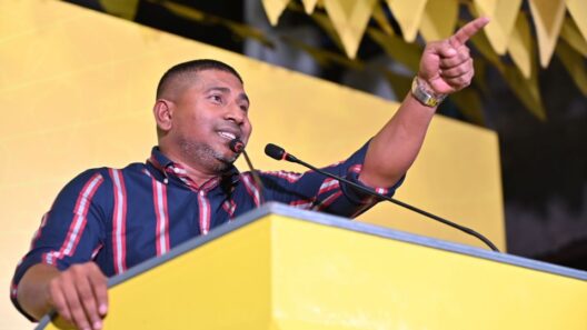 Mahluf has left the MDP
