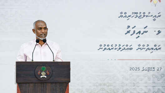 Health Tops 2026 Budget Priorities, President Says