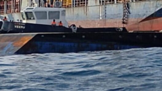 MPL: Unlicensed Captain Behind Capsize