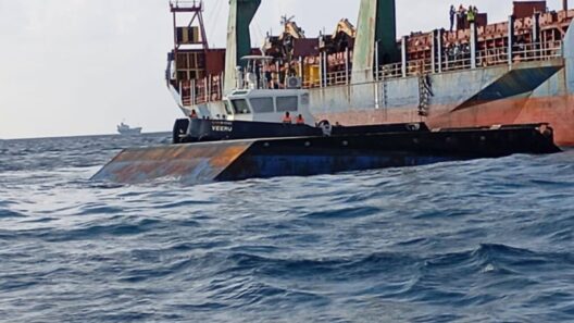 Two Killed After Dinghy Capsizes Near MPL Harbor