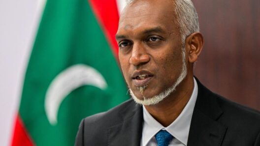 Muizzu Calls for Revival of SAARC Cooperation