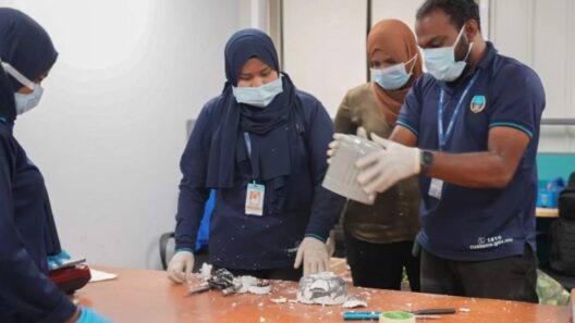 Customs Seizes Record Vape Shipment