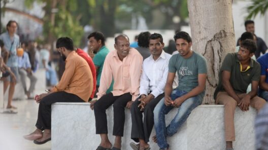 Govt Halts Vehicle Registration for Expats