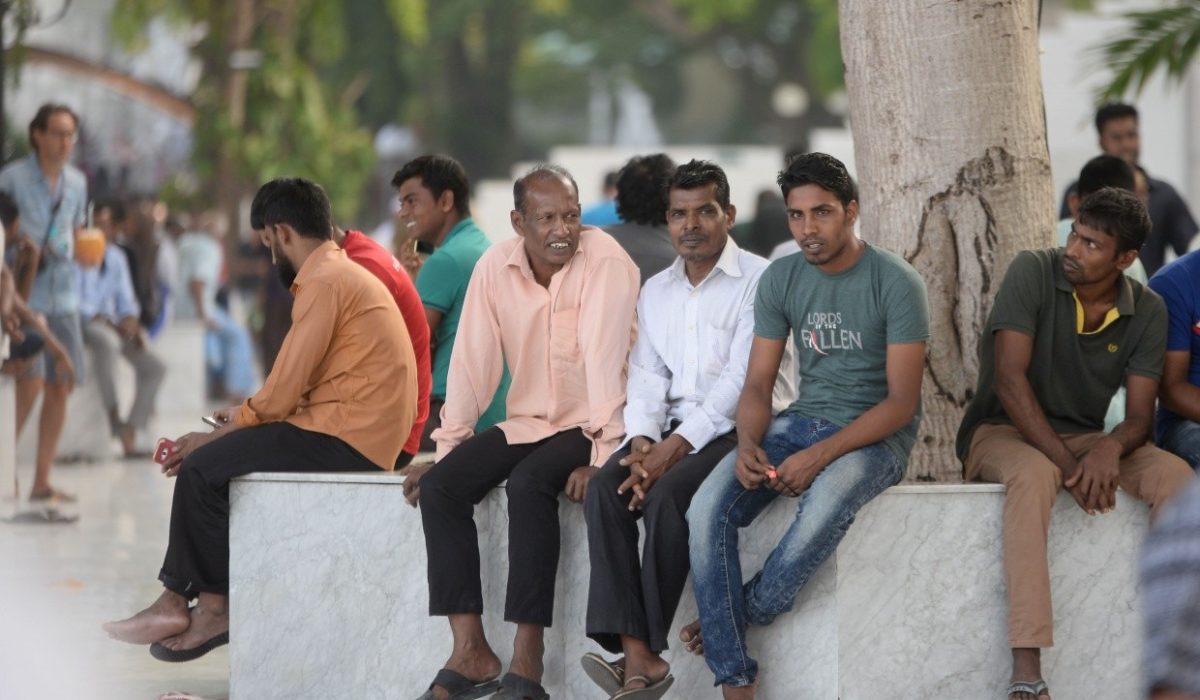 Govt Halts Vehicle Registration for Expats