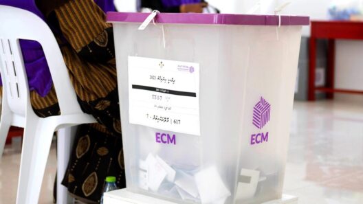 EC Announces Ballot Boxes for Local Elections