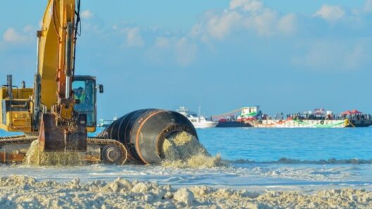 71 Hectares Reclaimed in Rasmale’ Project