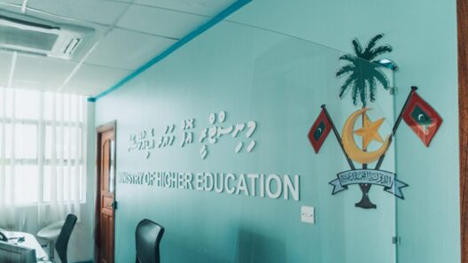 Govt Invests MVR 1.7B in Students Abroad