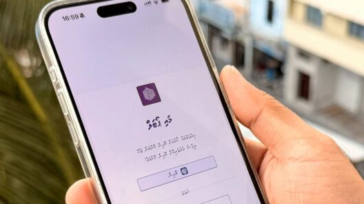 Hundreds Flag Errors in Voter List