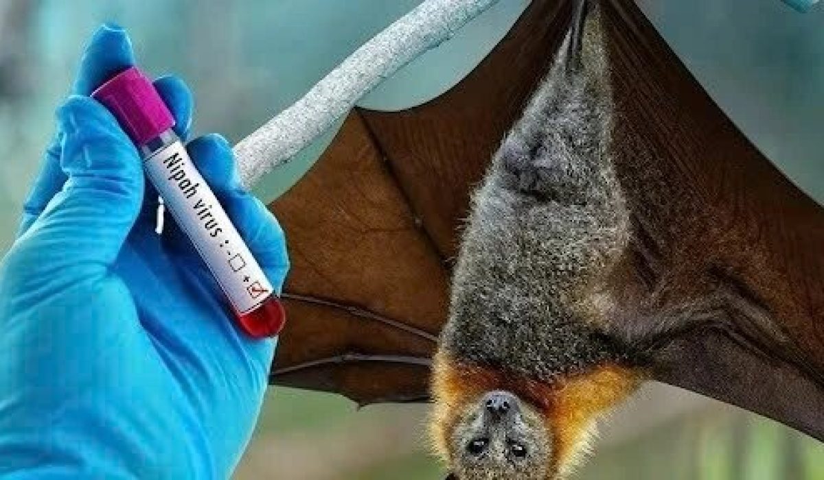 HPA Raises Alert Following Nipah Detection in India