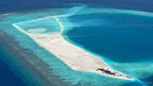 MACL Starts Remaining Giraavarufalhu Reclamation