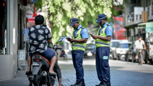 Traffic Accidents, Theft Dominate January Police Cases