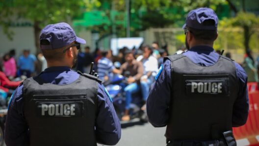 Accidents and Theft Lead Police Reports