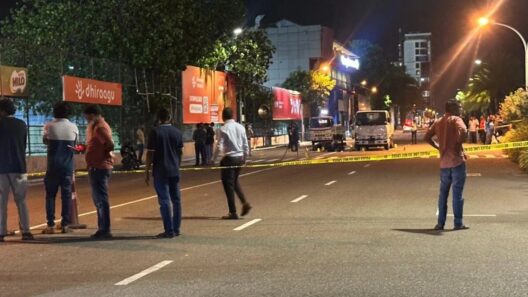 Teen Killed in Late-Night Crash on Boduthakurufaanu Magu