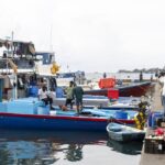 STO fixes fuel prices for transport operators