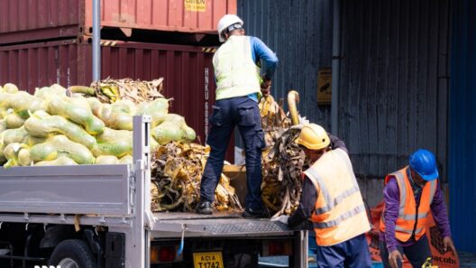 Port Activity Remains Steady This Week