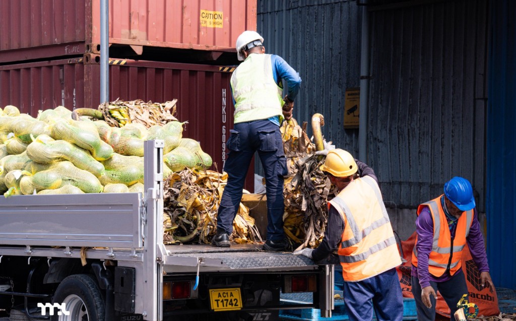 Port Activity Remains Steady This Week