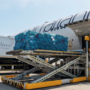 99 Tonnes Exported via Sea-to-Air Cargo