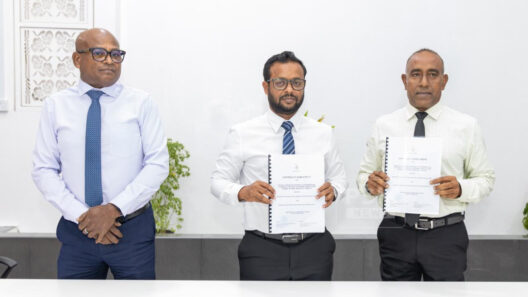 MTCC Awarded Madaveli Reclamation Phase
