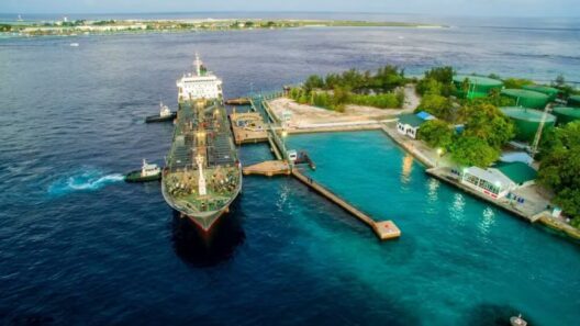 Govt to Use STO Profits to Subsidise Fuel Prices