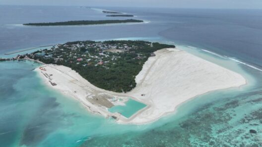 Veymandoo Reclamation Completed