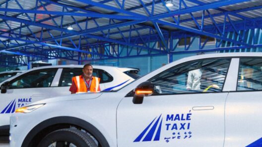 Taxi Line Gains Public Support