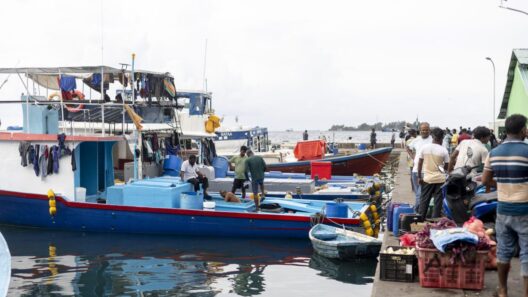 Fuel at Shed Rate for Fishermen