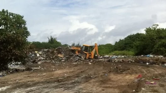 Waste Services Added to Council Duties