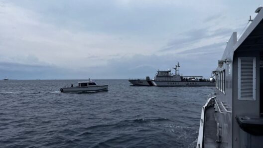 Finnish Divers Join Search