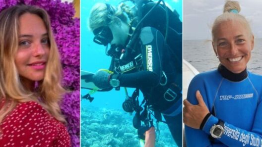 Last Two Divers’ Bodies Recovered