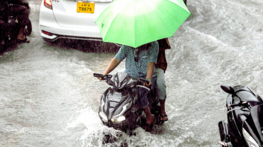 Above-Normal Rainfall Expected
