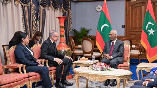 Three Ambassadors Present Credentials to President