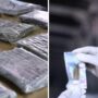 Customs Seizes 6,328 Vape Cartridges