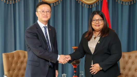 China Pledges Health Sector Support